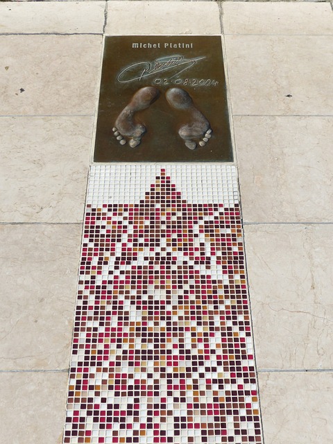 了专业认可 了专业认可