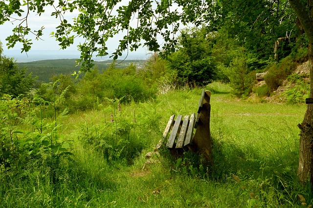 本文旨在深 本文旨在深